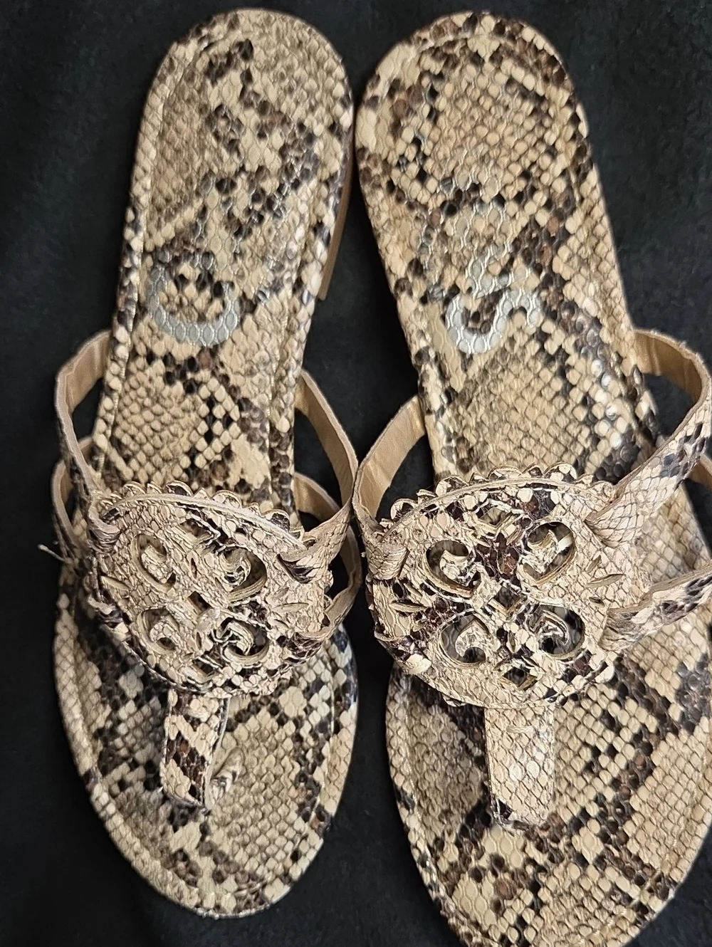 Sam Edelman CIRCUS Sandals Sz 7